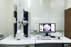 SEMTEM electron microscope thermionic emission gun with lanthanum hexaboride cathode